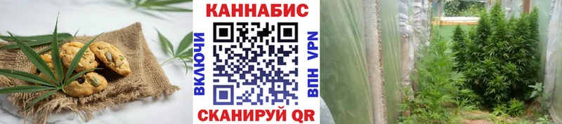 Canna-Cookies конопля Болохово